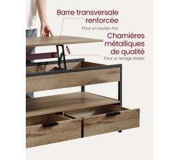 Table Basse Avec Plateau Relevable, Avec Rangement Ouvert Et Compartiment Caché, Marron Et Noir